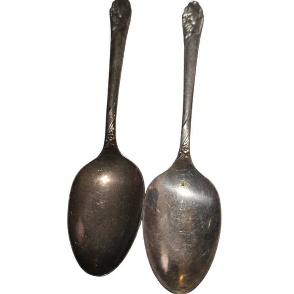 Oneida Community EVENING STAR Silverplated teaspoon set of 2